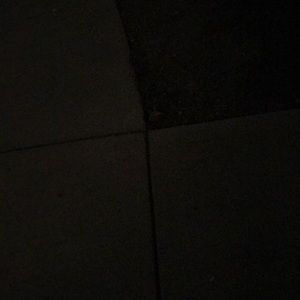 Meet your Posher, Ebony